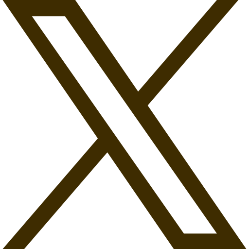 x icon